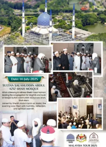 Untitled design - 2025-08-17T025041.928